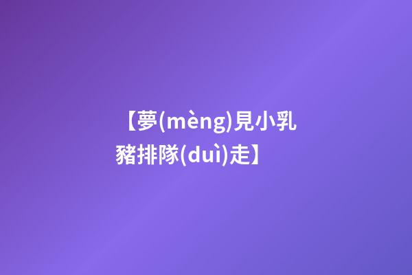 【夢(mèng)見小乳豬排隊(duì)走】
