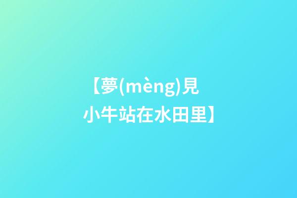 【夢(mèng)見小牛站在水田里】