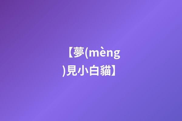 【夢(mèng)見小白貓】