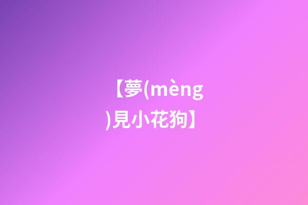 【夢(mèng)見小花狗】
