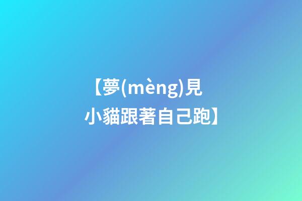 【夢(mèng)見小貓跟著自己跑】