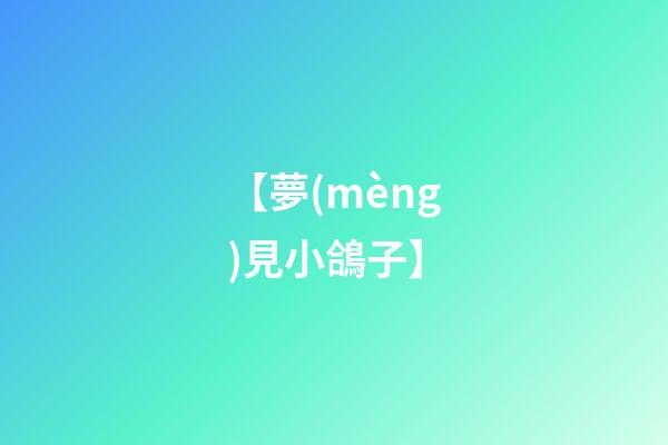 【夢(mèng)見小鴿子】