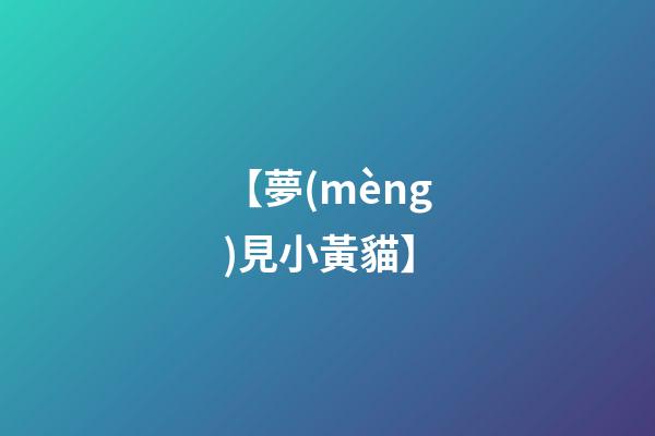 【夢(mèng)見小黃貓】