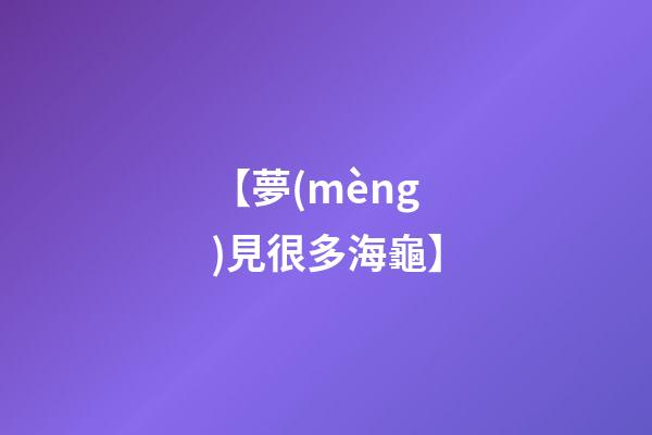 【夢(mèng)見很多海龜】
