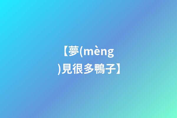 【夢(mèng)見很多鴨子】