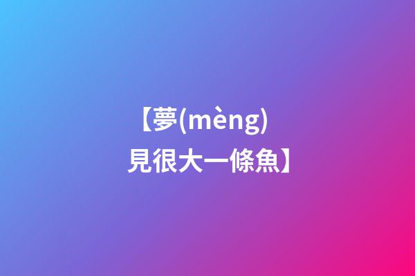 【夢(mèng)見很大一條魚】