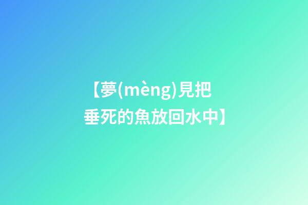 【夢(mèng)見把垂死的魚放回水中】