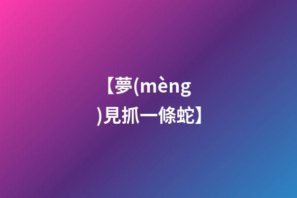 【夢(mèng)見抓一條蛇】