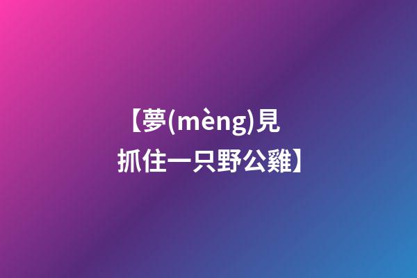 【夢(mèng)見抓住一只野公雞】