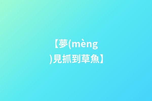 【夢(mèng)見抓到草魚】
