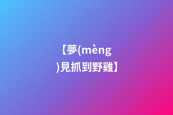 【夢(mèng)見抓到野雞】