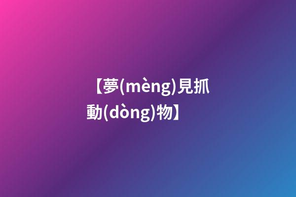 【夢(mèng)見抓動(dòng)物】