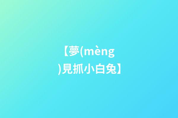 【夢(mèng)見抓小白兔】
