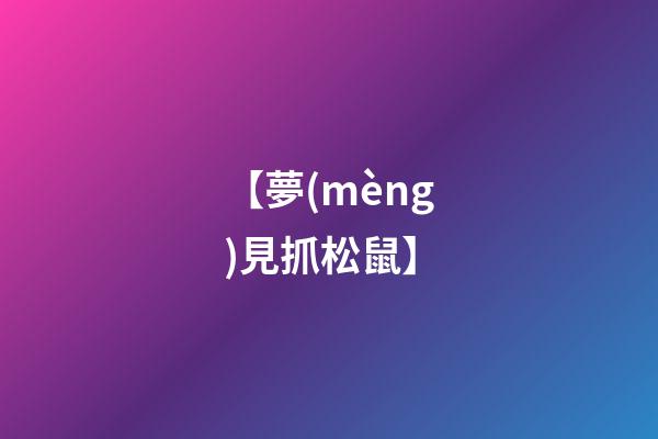 【夢(mèng)見抓松鼠】