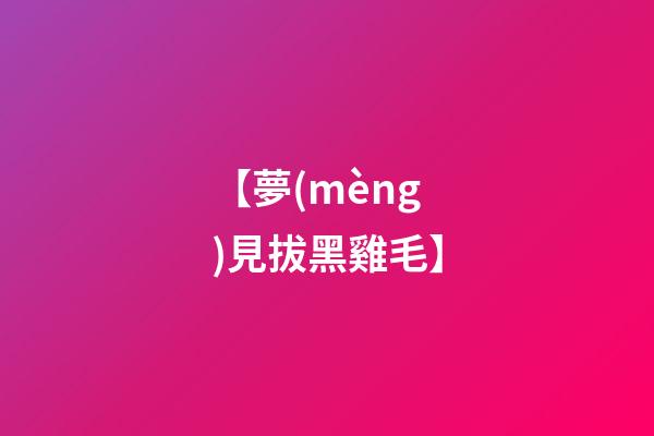 【夢(mèng)見拔黑雞毛】