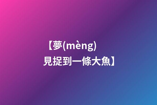 【夢(mèng)見捉到一條大魚】