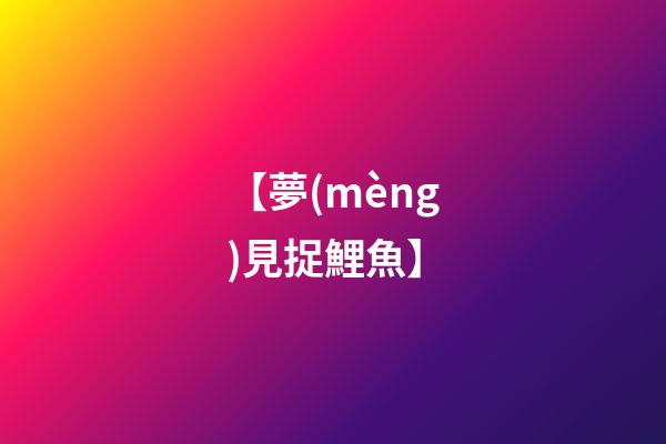 【夢(mèng)見捉鯉魚】