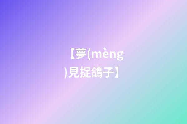 【夢(mèng)見捉鴿子】