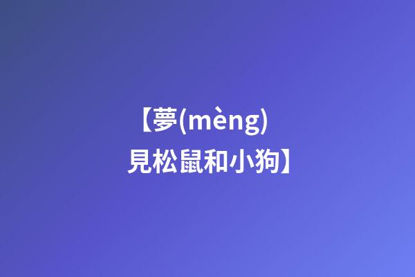 【夢(mèng)見松鼠和小狗】