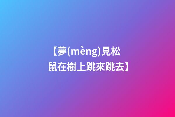 【夢(mèng)見松鼠在樹上跳來跳去】
