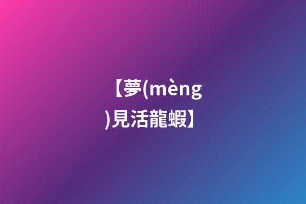 【夢(mèng)見活龍蝦】