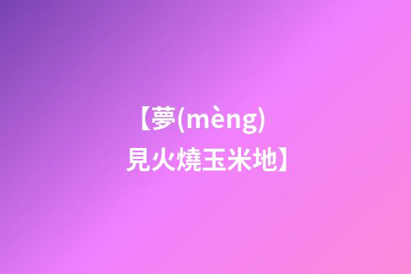 【夢(mèng)見火燒玉米地】