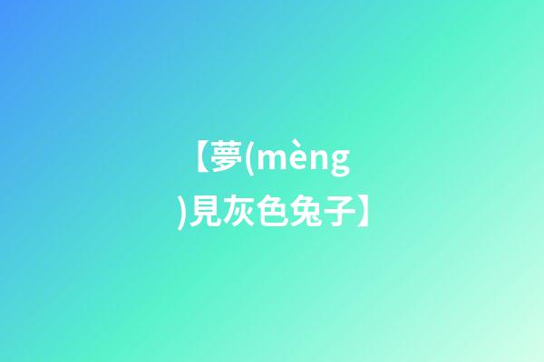 【夢(mèng)見灰色兔子】