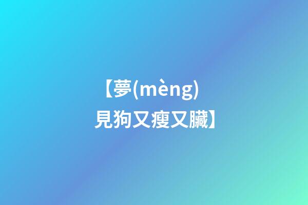 【夢(mèng)見狗又瘦又臟】