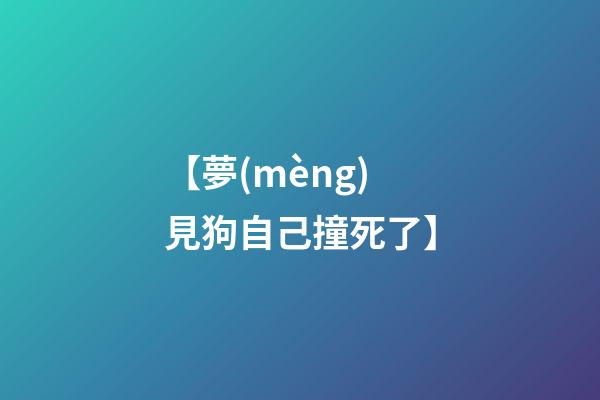 【夢(mèng)見狗自己撞死了】