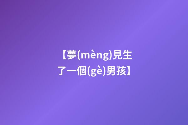 【夢(mèng)見生了一個(gè)男孩】