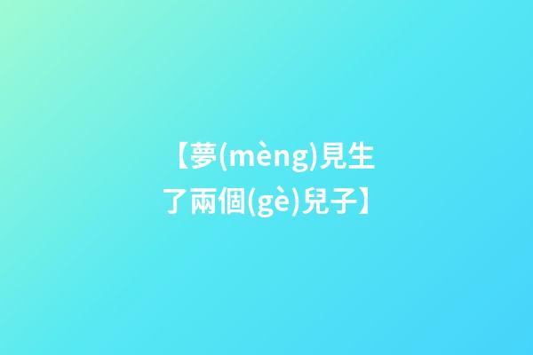 【夢(mèng)見生了兩個(gè)兒子】