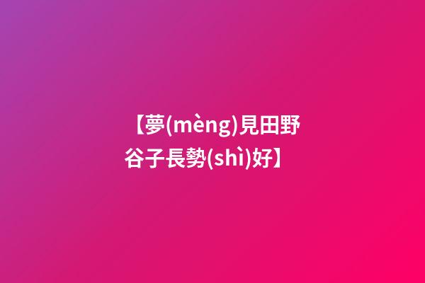 【夢(mèng)見田野谷子長勢(shì)好】
