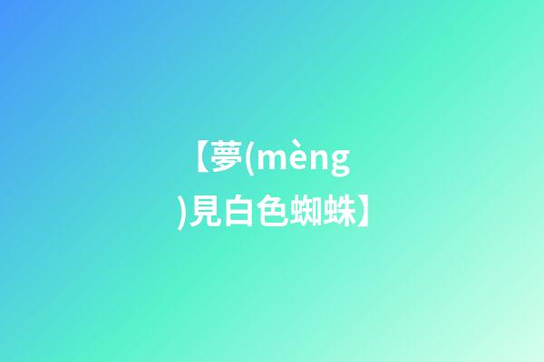 【夢(mèng)見白色蜘蛛】