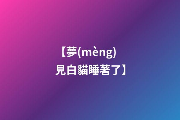 【夢(mèng)見白貓睡著了】