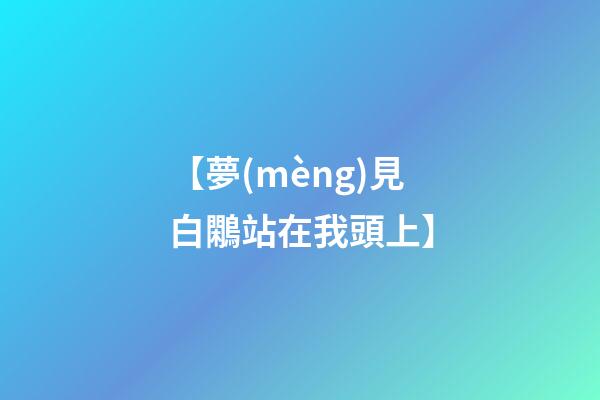 【夢(mèng)見白鷴站在我頭上】