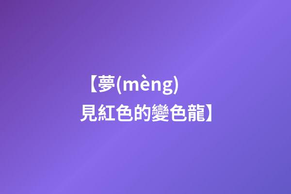 【夢(mèng)見紅色的變色龍】
