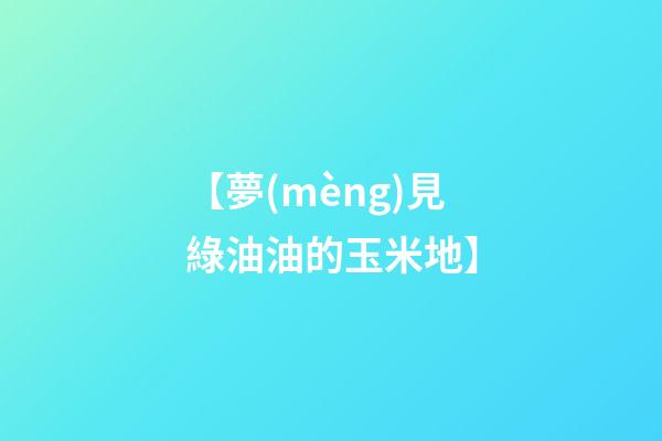 【夢(mèng)見綠油油的玉米地】