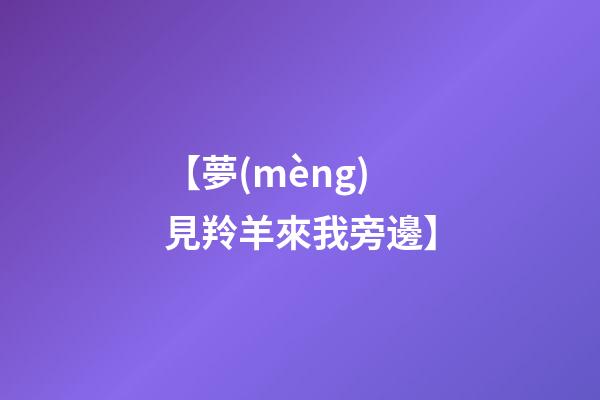 【夢(mèng)見羚羊來我旁邊】