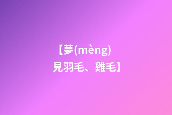 【夢(mèng)見羽毛、雞毛】