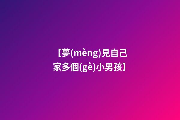 【夢(mèng)見自己家多個(gè)小男孩】