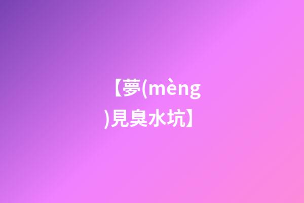 【夢(mèng)見臭水坑】