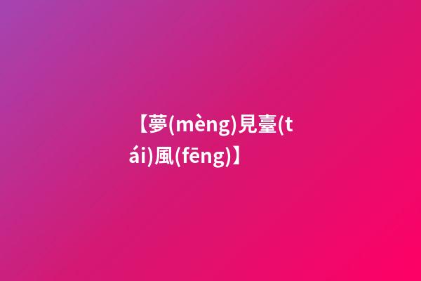 【夢(mèng)見臺(tái)風(fēng)】