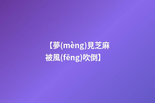 【夢(mèng)見芝麻被風(fēng)吹倒】
