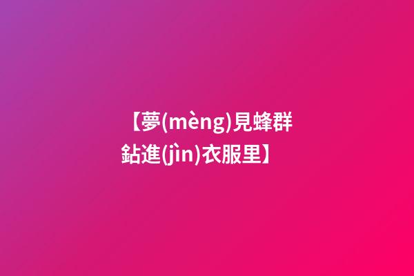 【夢(mèng)見蜂群鉆進(jìn)衣服里】