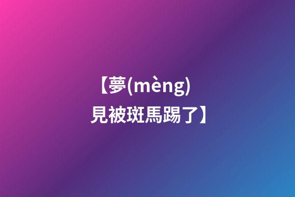 【夢(mèng)見被斑馬踢了】