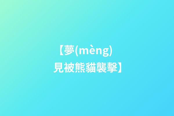 【夢(mèng)見被熊貓襲擊】
