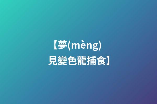【夢(mèng)見變色龍捕食】