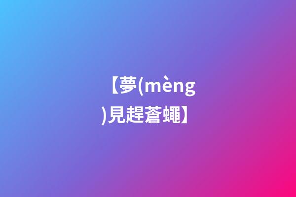 【夢(mèng)見趕蒼蠅】
