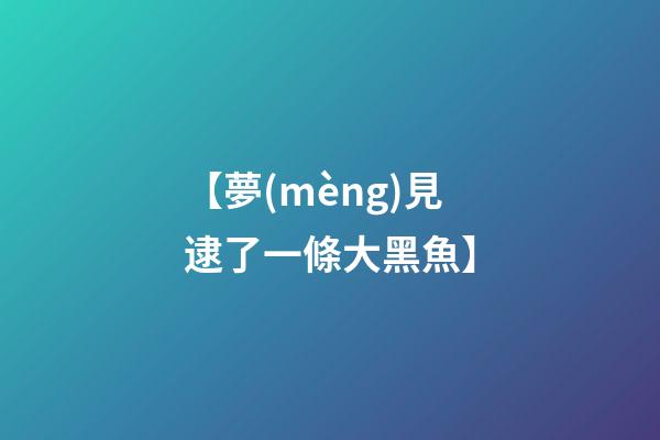 【夢(mèng)見逮了一條大黑魚】