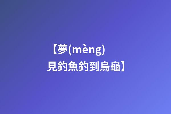 【夢(mèng)見釣魚釣到烏龜】